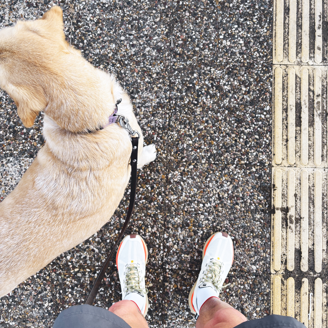 weekdays, new vintage white.