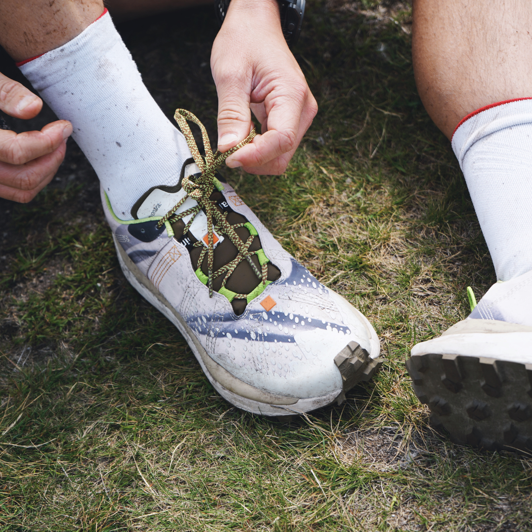 sayonara, lonely wolf, archive.